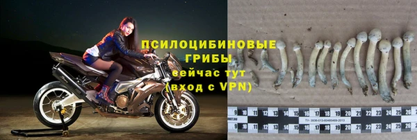 apvp Ростов