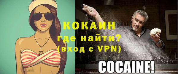 кокс Алексин