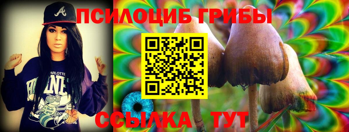Псилоцибиновые грибы прущие грибы  Галлюциногенные грибы Cubensis  Анапа  где продают   Вход с VPN 