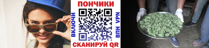 Каннабис Amnesia Анапа